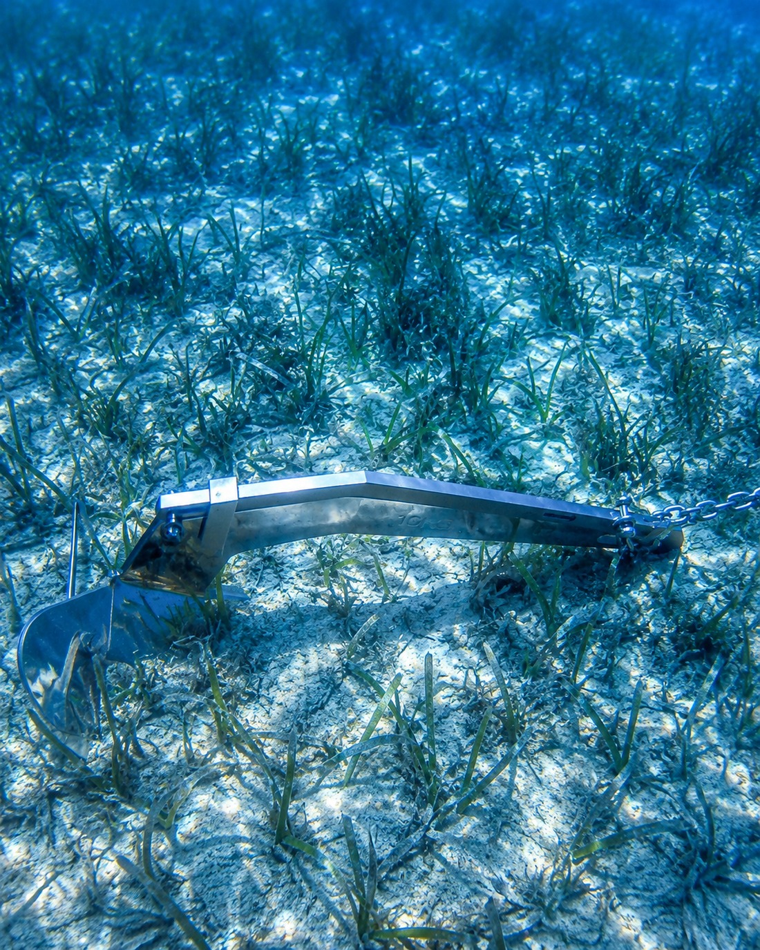 Anchor on seagrass bed